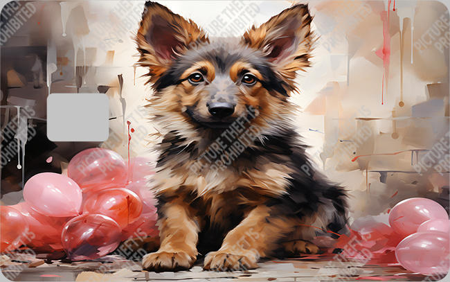 Bank  Card Sticker-BC-180